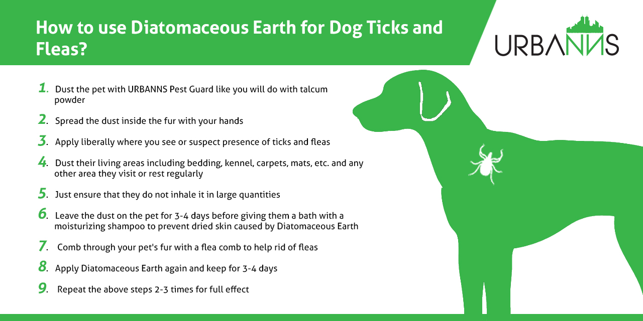 Removing Ticks and Fleas from Dogs and Cats
